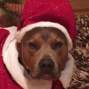 Meet your Posher, Sheryl